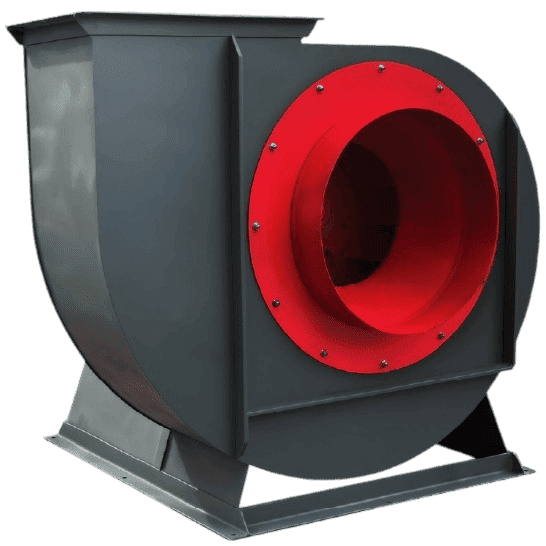 Salyangoz Fanlar Salyangoz Fanlar